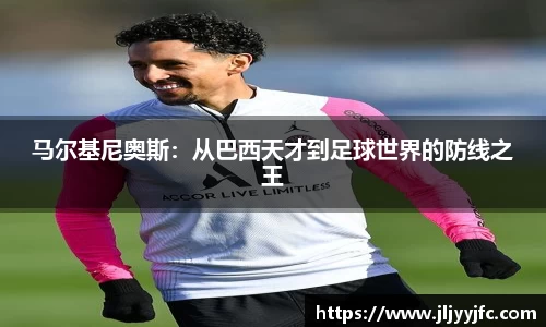 bsports官网入口