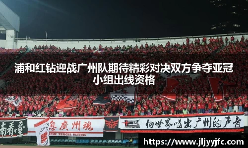 bsports官网入口