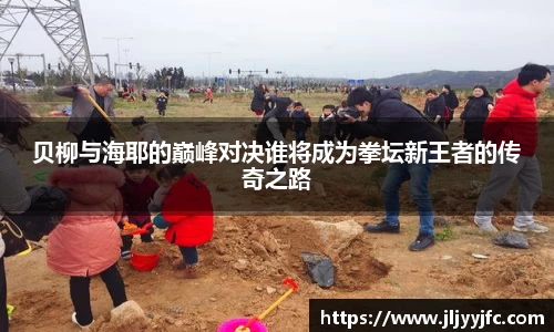 B体育官网