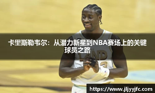 B体育bsports